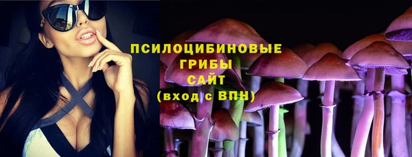дурь Балахна