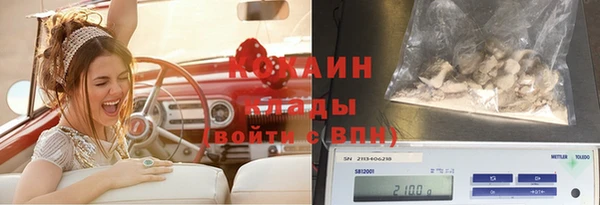 не бодяженный Снежногорск