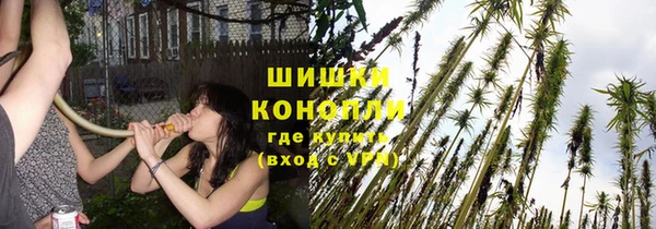 дурь Балахна