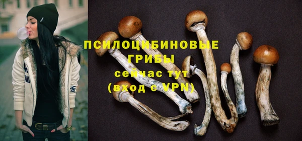 дурь Балахна