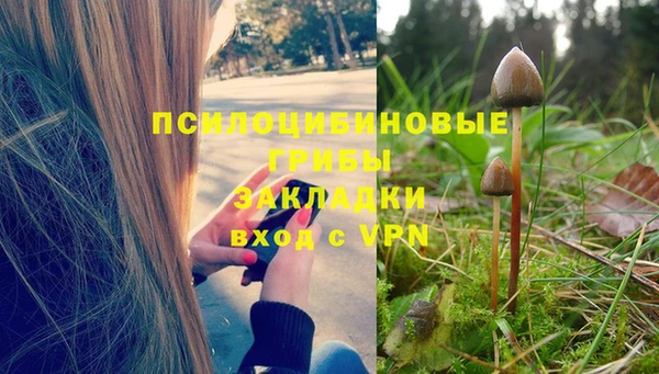 дурь Балахна