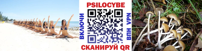 Галлюциногенные грибы прущие грибы цена Лесной