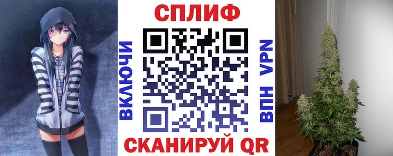 Бошки Шишки MAZAR  где можно купить наркотик  Лесной 
